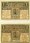 Asygnata kasowa miasta Cieszyna, 1 korona 1919 r.
